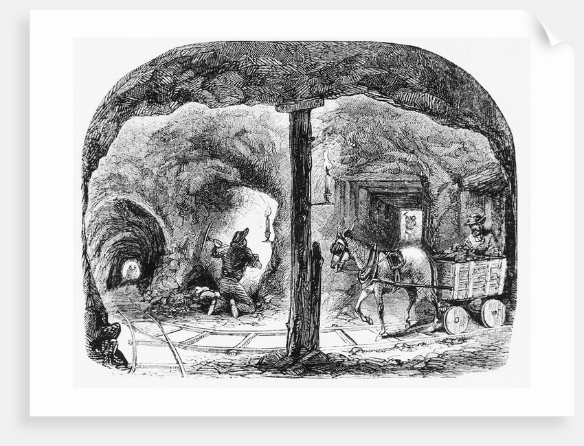 Mule Pulls Cart Thru Ca Gold Mine: Illus by Anonymous