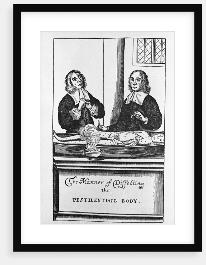 The Manner of Dissecting the Pestilentiall Body Illustration by Anonymous