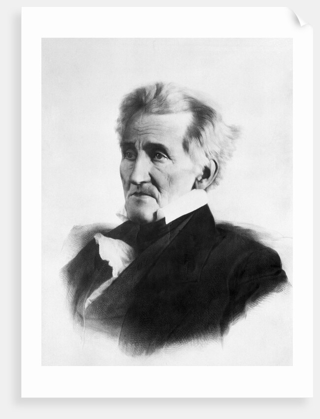 Portrait of Andrew Jackson by Anonymous