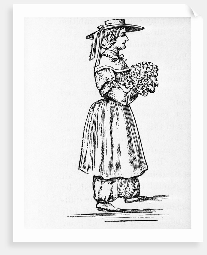 Amelia Bloomer In Cosutme; Bloomers by Anonymous