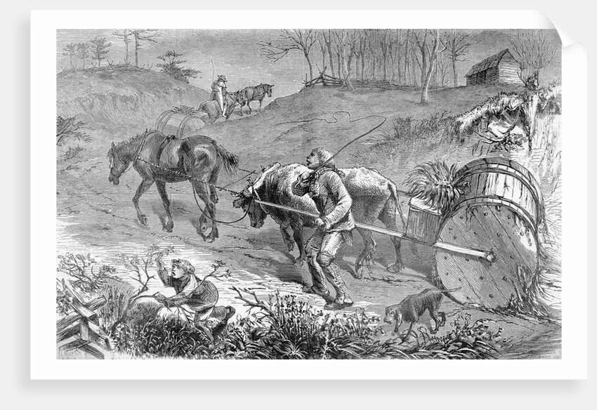 Bringing Tobacco To Market In Virginia by Anonymous