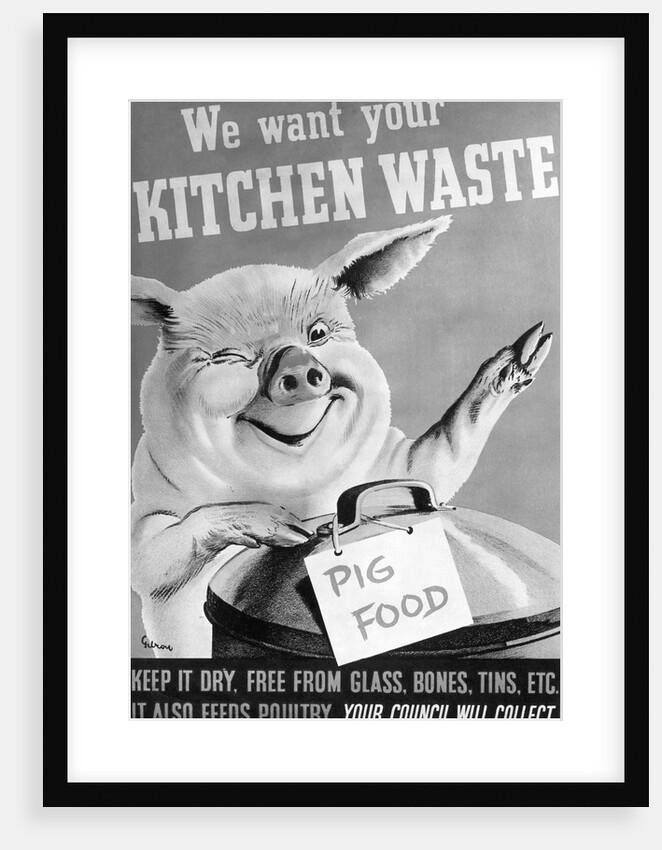 We Want Your Kitchen Waste Poster by Anonymous