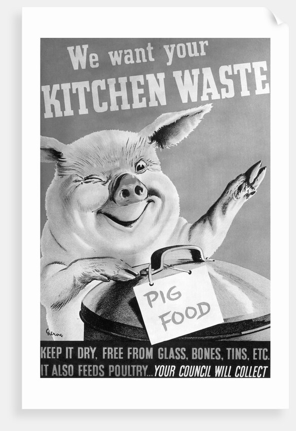 We Want Your Kitchen Waste Poster by Anonymous