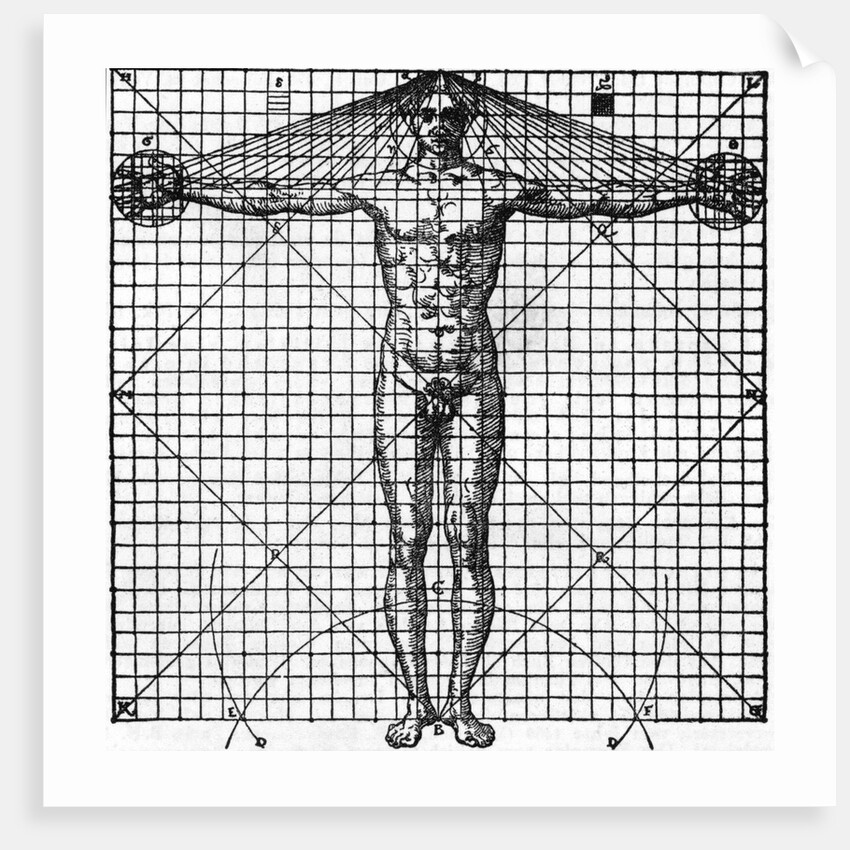 Diagram Of Man'S Proportions; On Graph by Anonymous