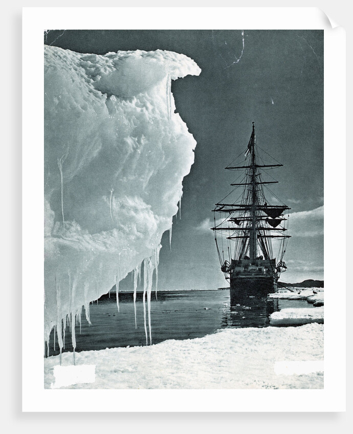 Terra Nova at Cape Evans by Anonymous