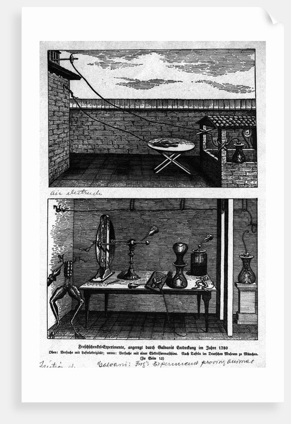 Experiment Showing Animal Magnetism by Anonymous