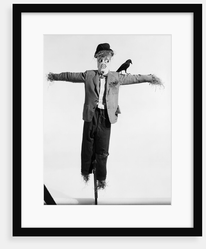 Scarecrow with Crow on His Shoulder by Anonymous