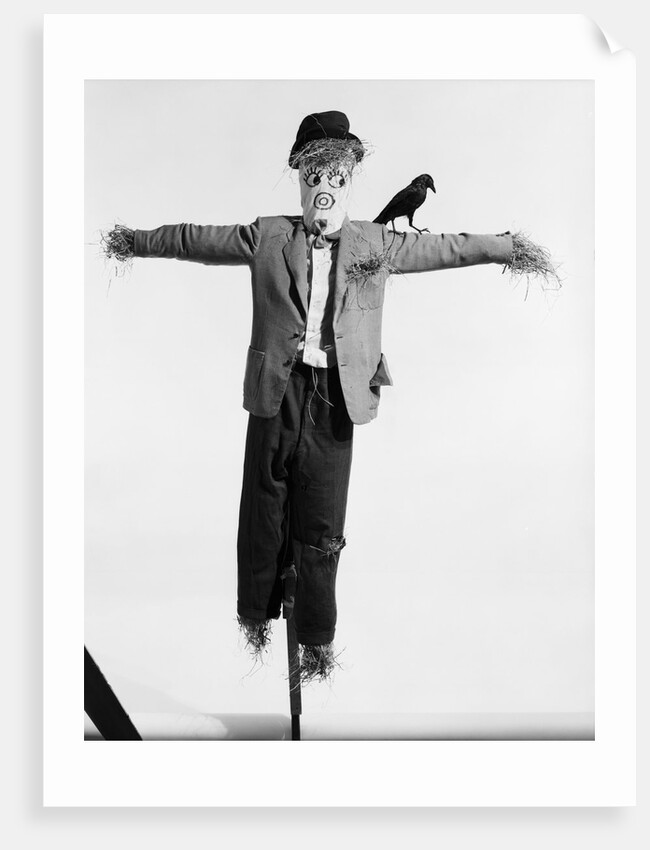 Scarecrow with Crow on His Shoulder by Anonymous