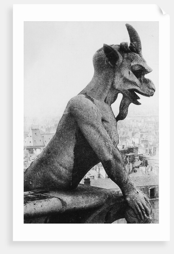 Gargoyle on Notre Dame Cathedral by Anonymous