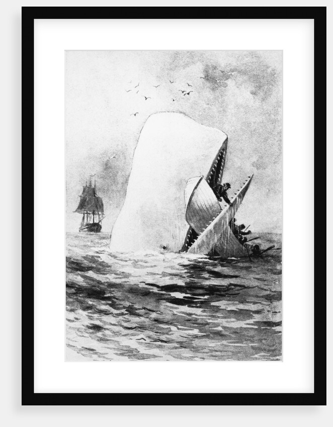 Illustration of the White Whale by A. Burnham Shute