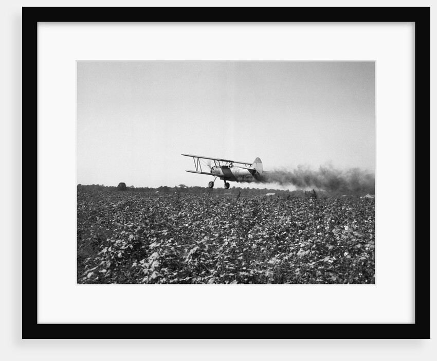 Crop Dusting Plane Flies Over Field by Anonymous