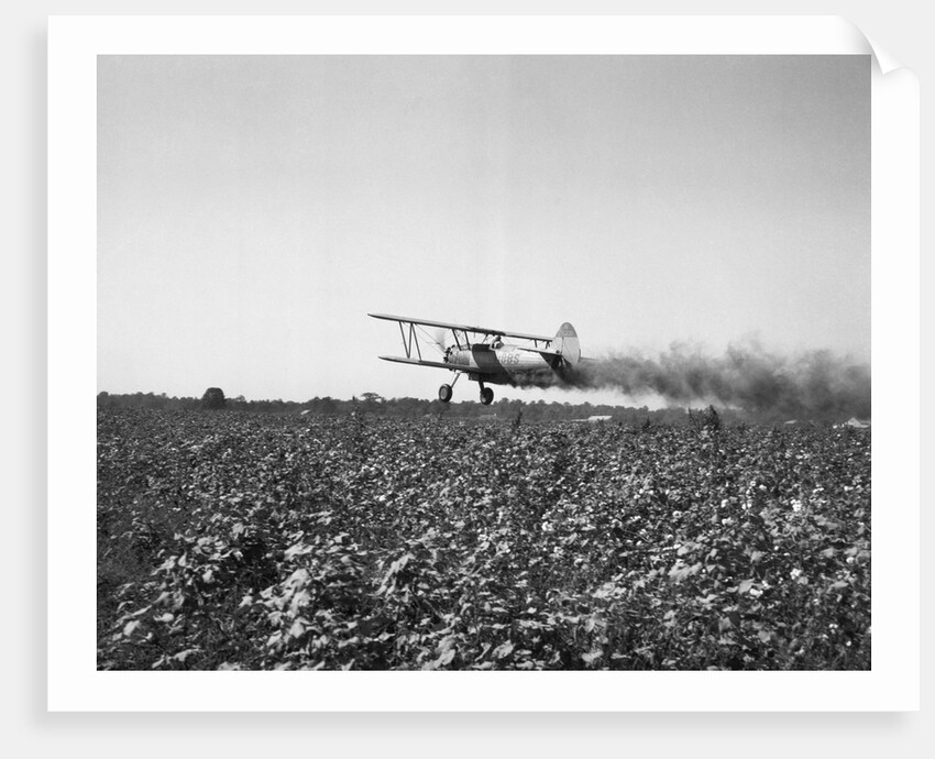 Crop Dusting Plane Flies Over Field by Anonymous