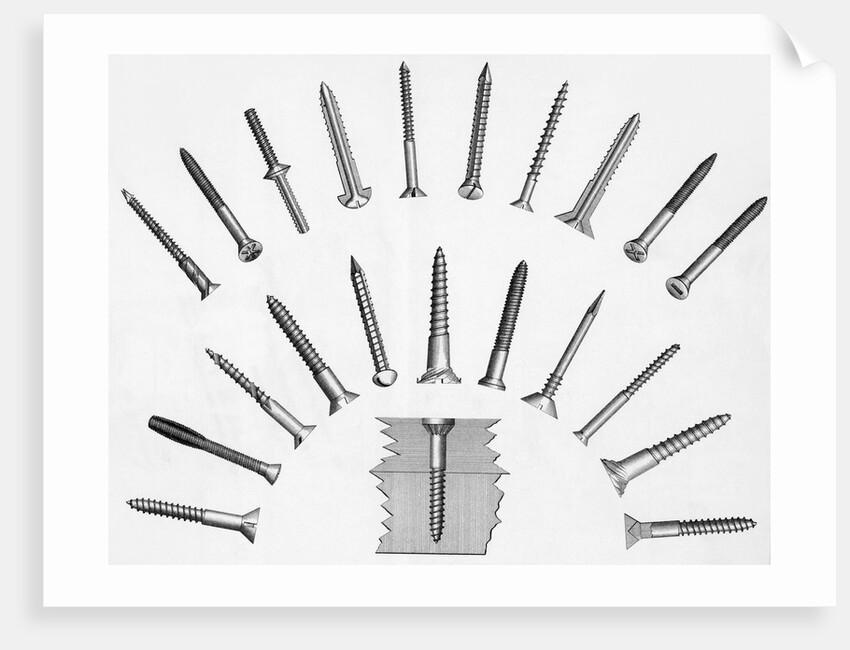Various Screws Arranged Radially by Anonymous
