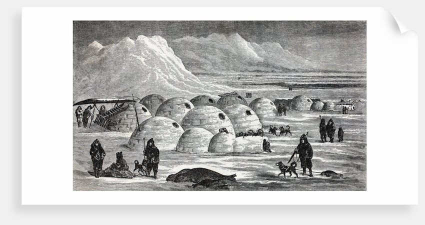Innuit Igloos, or Snow Village Illustration by Anonymous