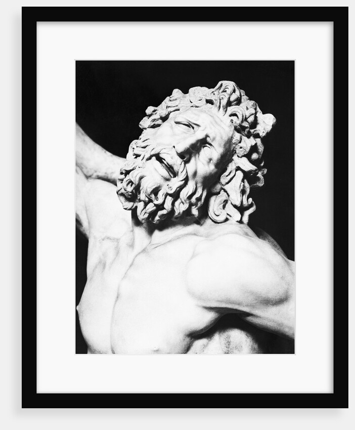 Detail of the Head of Laocoon from The Laocoon Group by Anonymous
