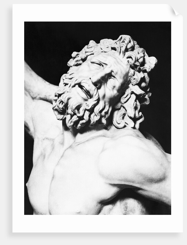 Detail of the Head of Laocoon from The Laocoon Group by Anonymous