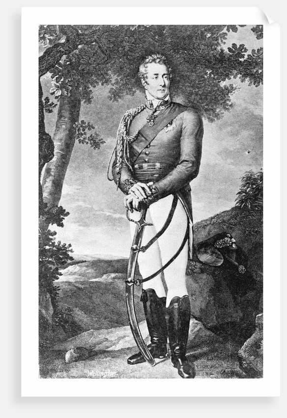 Full Length Of Duke Of Wellington by Anonymous