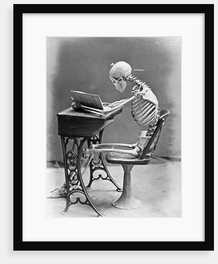 Skeleton Reading at Desk by Anonymous