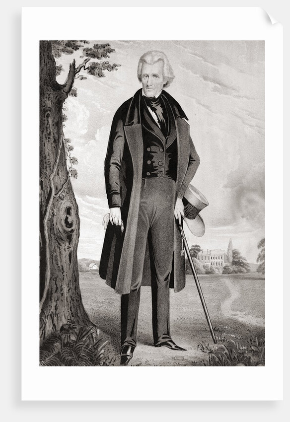 Portrait of Andrew Jackson in Retirement by Anonymous