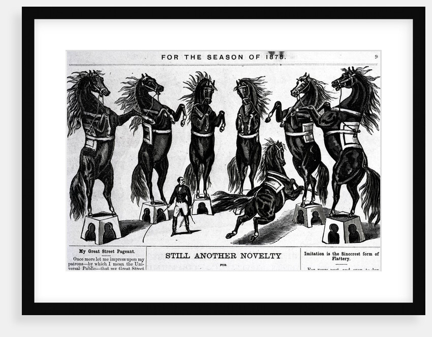 Horses Performing In Circus by Anonymous