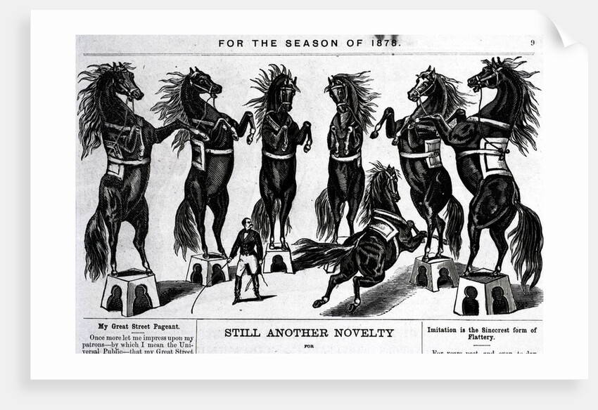 Horses Performing In Circus by Anonymous