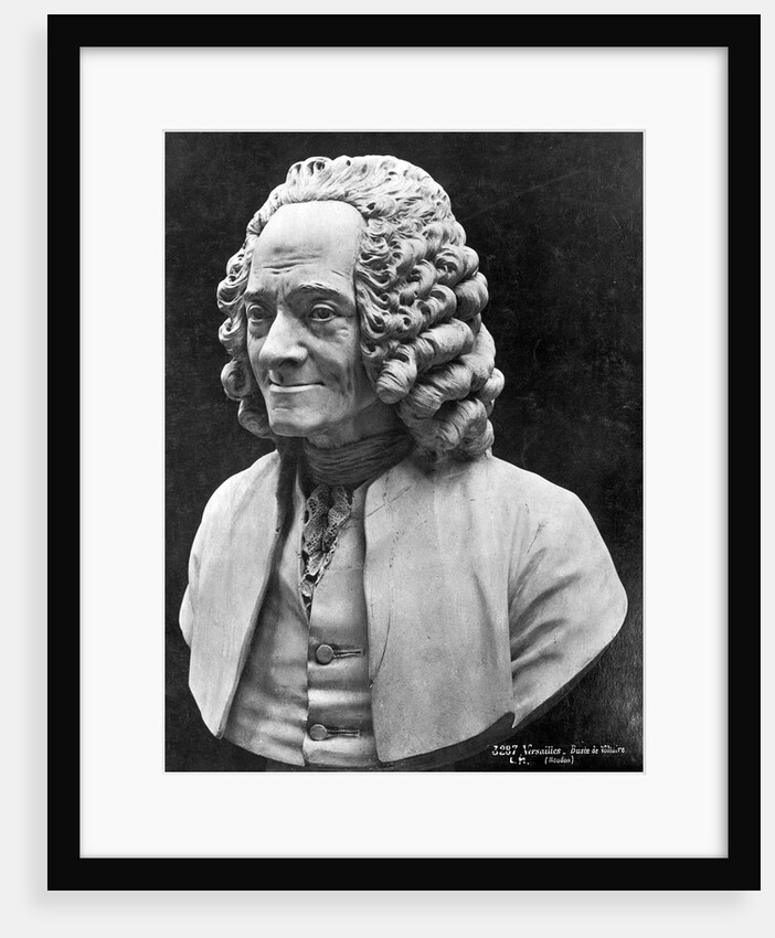 Bust Of Voltaire by Anonymous