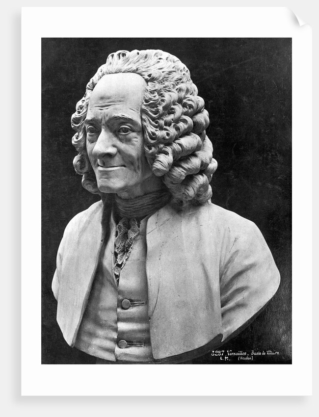 Bust Of Voltaire by Anonymous