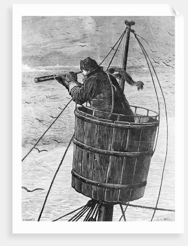 Illustration of a Sailor In Crows Nest by Anonymous