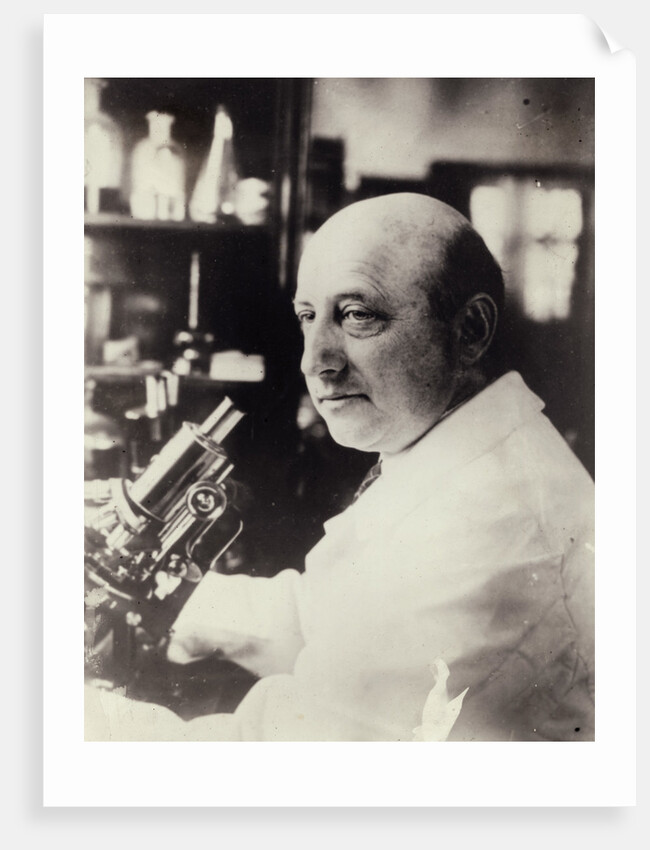 Portrait Of Dr. Richard Goldschmidt by Anonymous