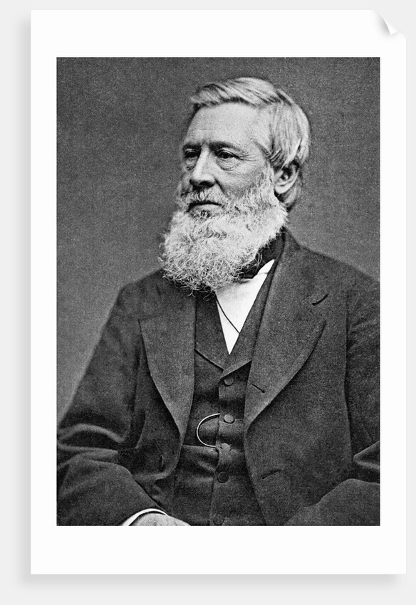 Asa Gray American Botonist by Anonymous