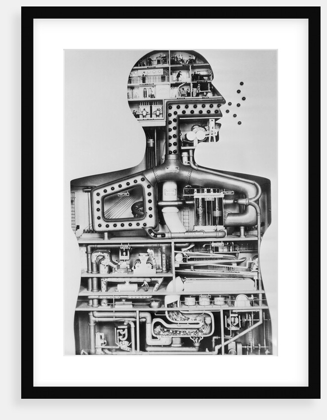 Model Of A Man As A Factory by Anonymous