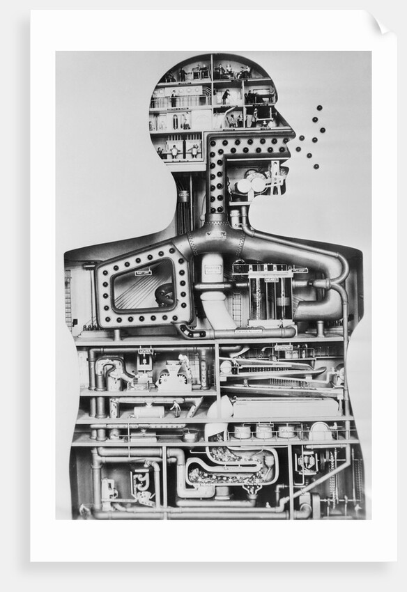 Model Of A Man As A Factory by Anonymous