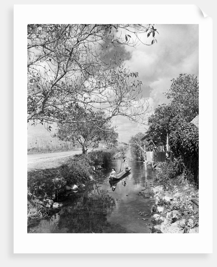 Seminoles Canoeing down Stream by Anonymous