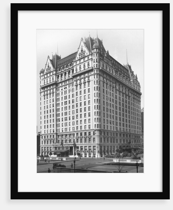 Plaza Hotel by Anonymous