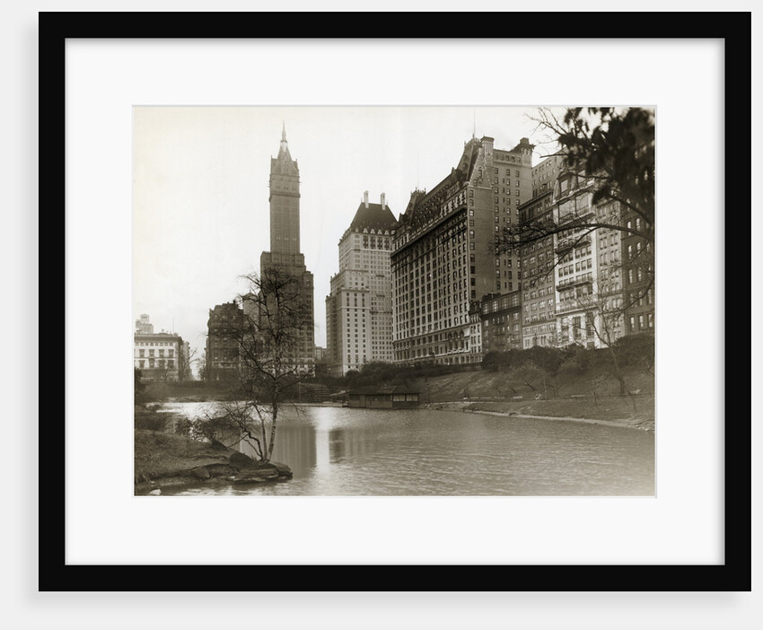 Plaza Hotel as Seen from Central Park by Anonymous