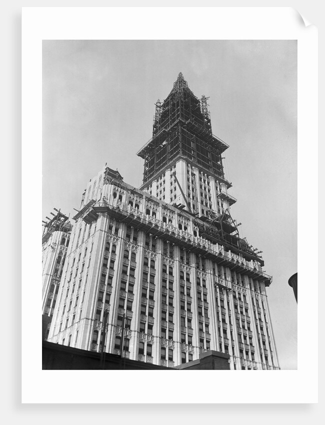 Woolworth Building Under Construction by Anonymous