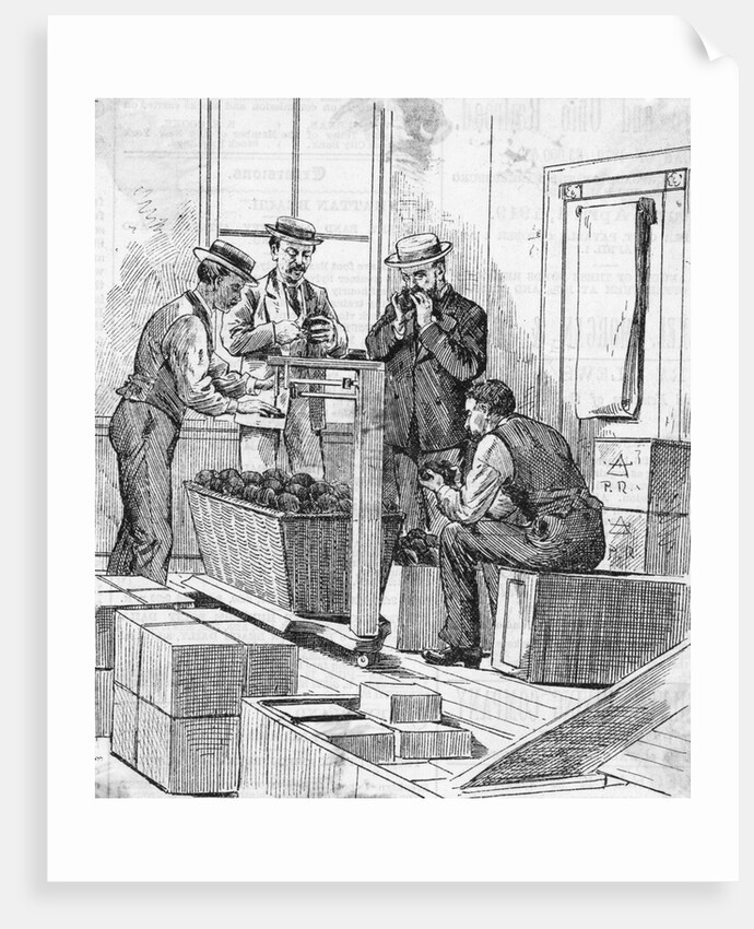 Men Examine Opium In 'The Opium Room' by Anonymous