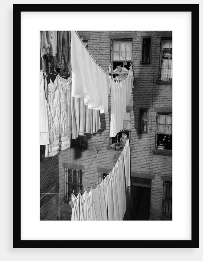 Laundry Drying on Lines by Anonymous