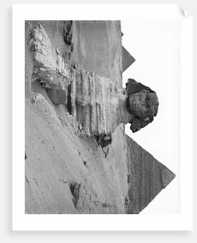 Great Sphinx and Pyramids at Giza by Anonymous