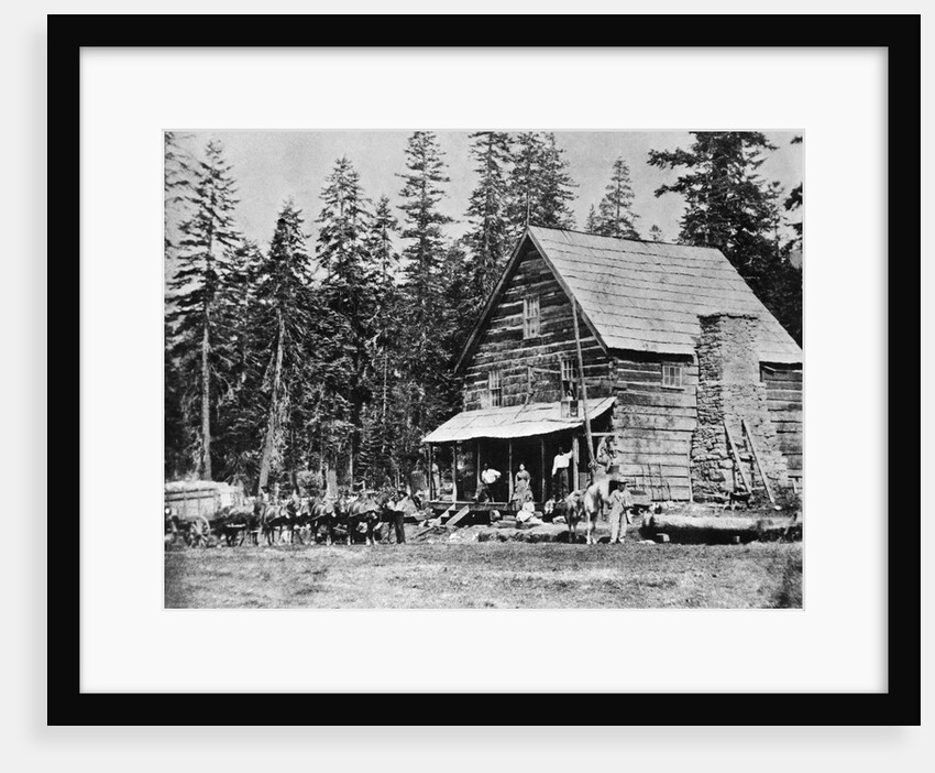 Log Cabin In Woods Used As Hotel by Anonymous