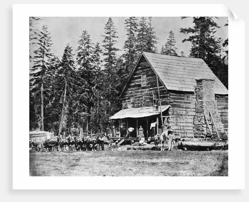 Log Cabin In Woods Used As Hotel by Anonymous