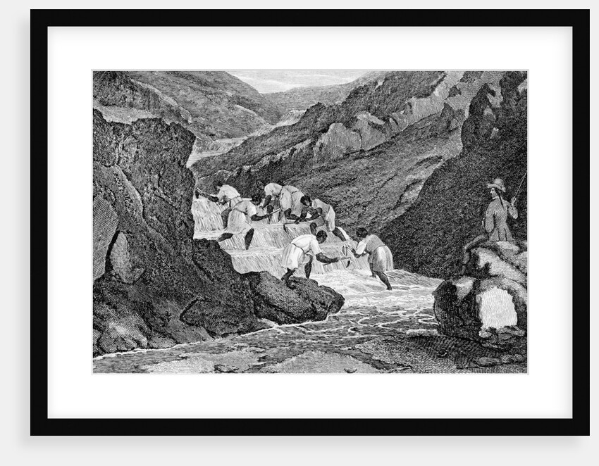 Manner Of Washing Gold In The Mountains by Anonymous