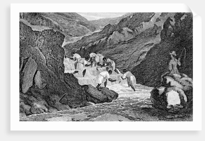 Manner Of Washing Gold In The Mountains by Anonymous