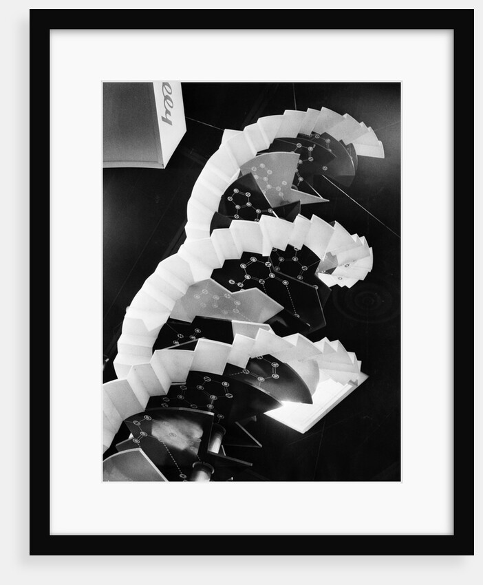 Model Of Dna Molecule by Anonymous
