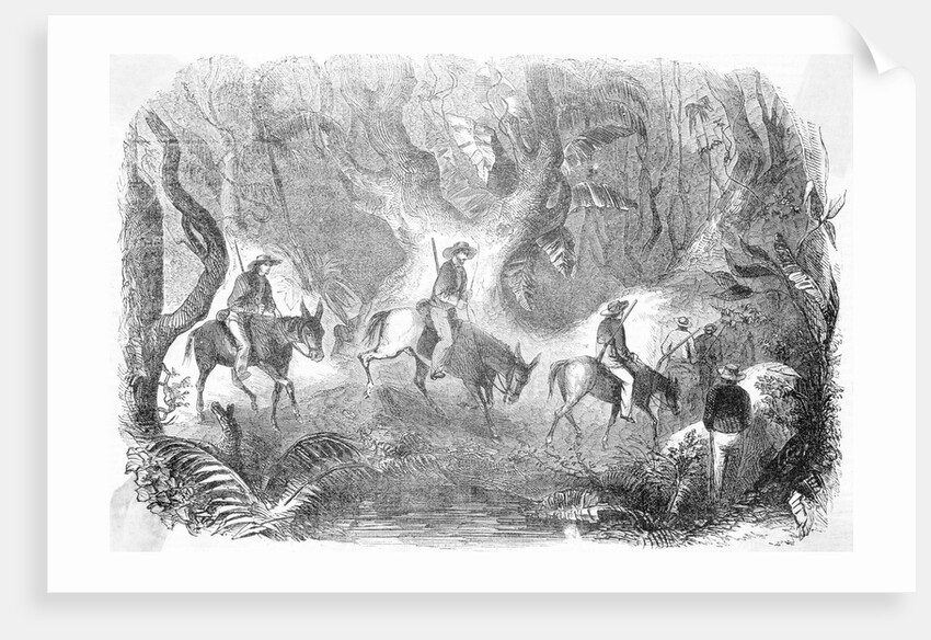 Californians Crossing The Panama by Anonymous