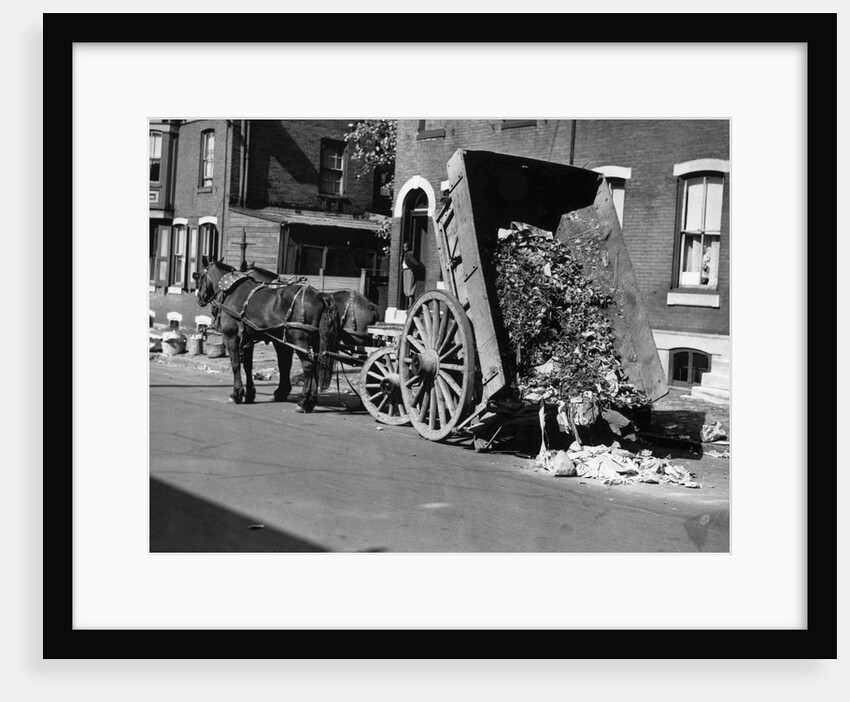 Horsedrawn Trash Cart Dumping In Street by Anonymous