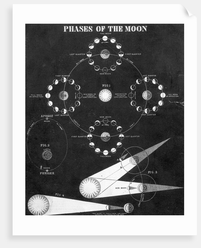 Illustration Of "Phases Of The Moon" by Anonymous