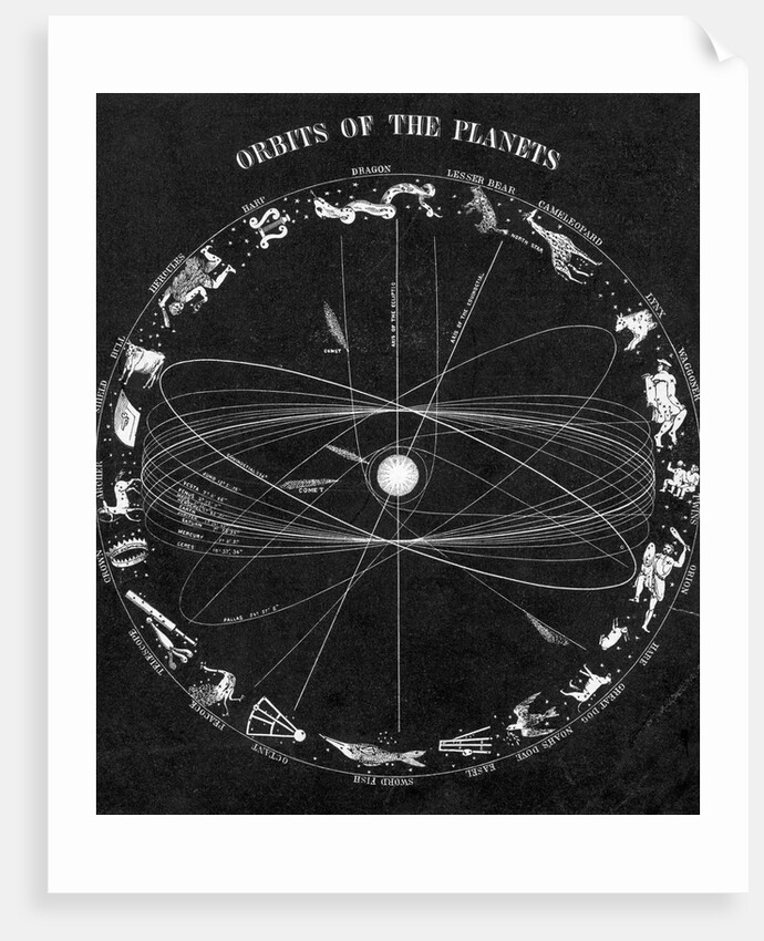 Illus.;Orbit Of The Planets,Constellatio by Anonymous