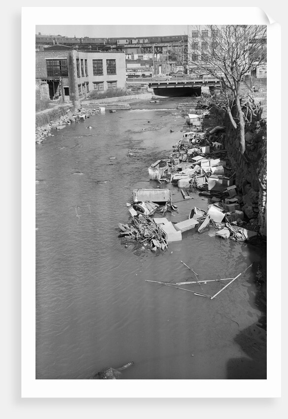 Stream Polluted with Automotive and Household Waste by Anonymous
