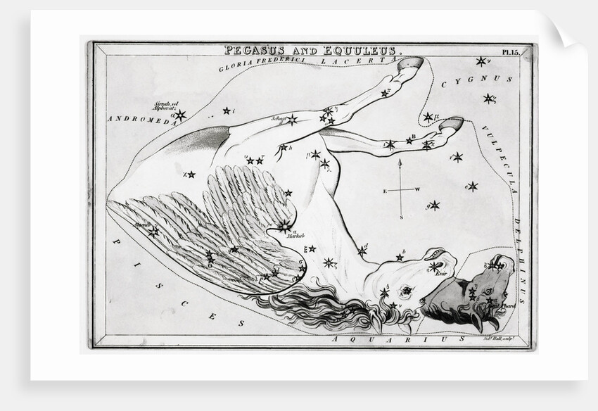 Constellations Pegasus & Equuleus by Anonymous